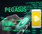 Pegasus